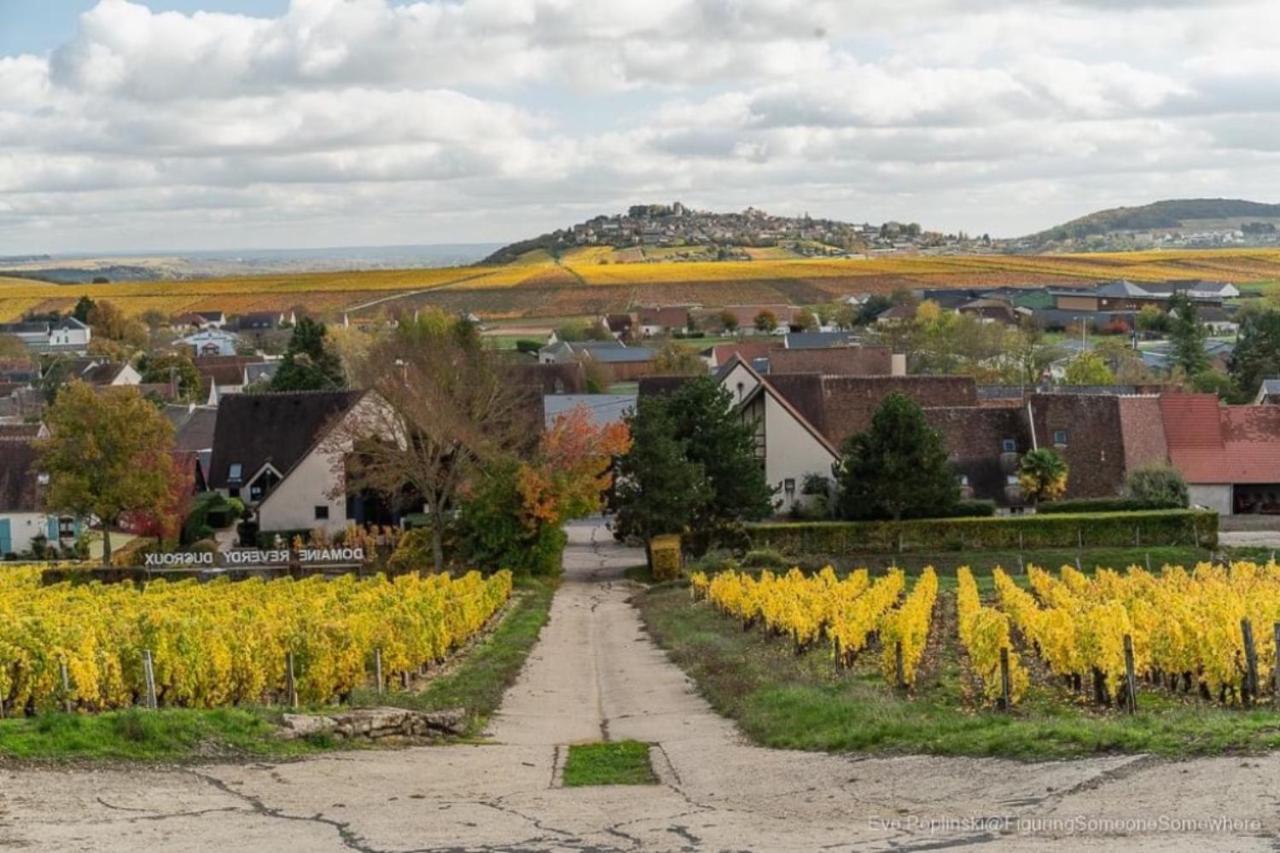 Le Logis St Pere Villa Sancerre Exteriör bild